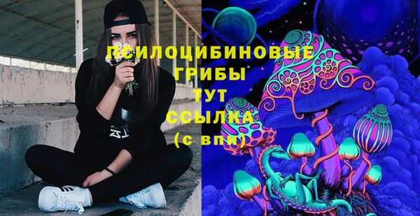спиды Алексеевка