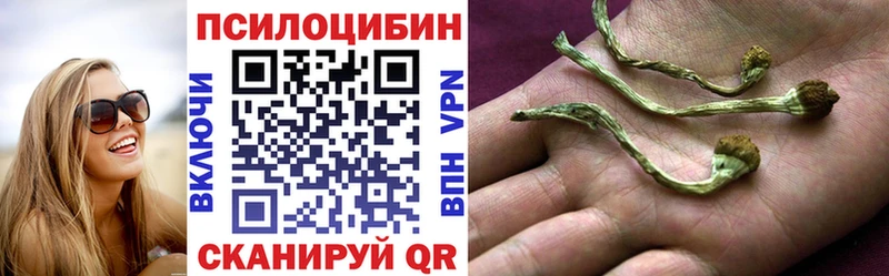 Псилоцибиновые грибы GOLDEN TEACHER  где можно купить   Мензелинск 